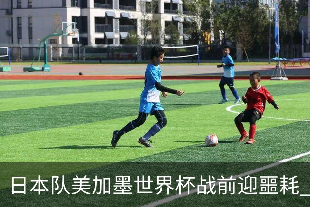 日本队美加墨世界杯战前迎噩耗 队长远藤航因伤退出
